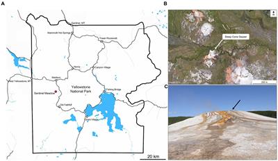 Spatial and temporal dynamics at an actively silicifying hydrothermal system